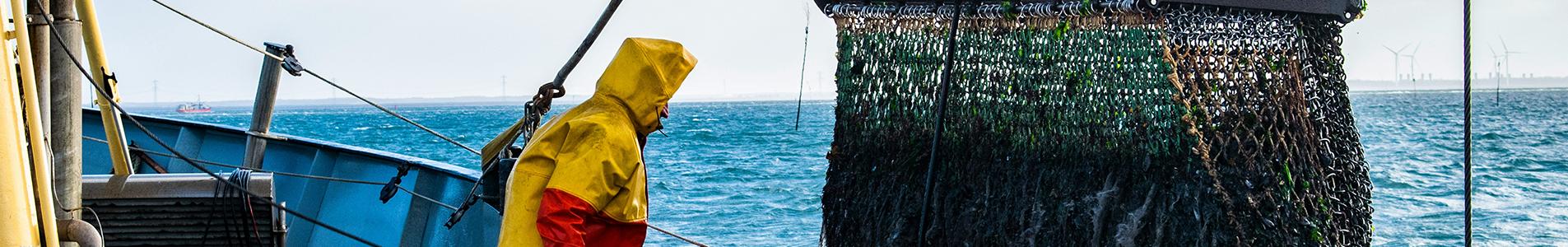 fisherman catching fish