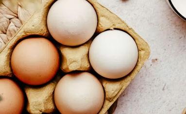 egg-featured.jpg